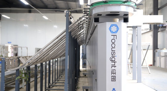 Focusight Roos Sorteermachine en Roos Verpakkingsmachine
