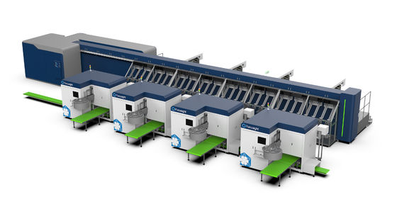 Focusight Roos Sorteermachine en Roos Verpakkingsmachine