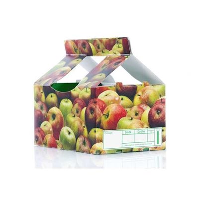 Vruchten &amp; Plantaardige Verpakking met Kartons die de Machine van de Inspectiekwaliteitscontrole drukken